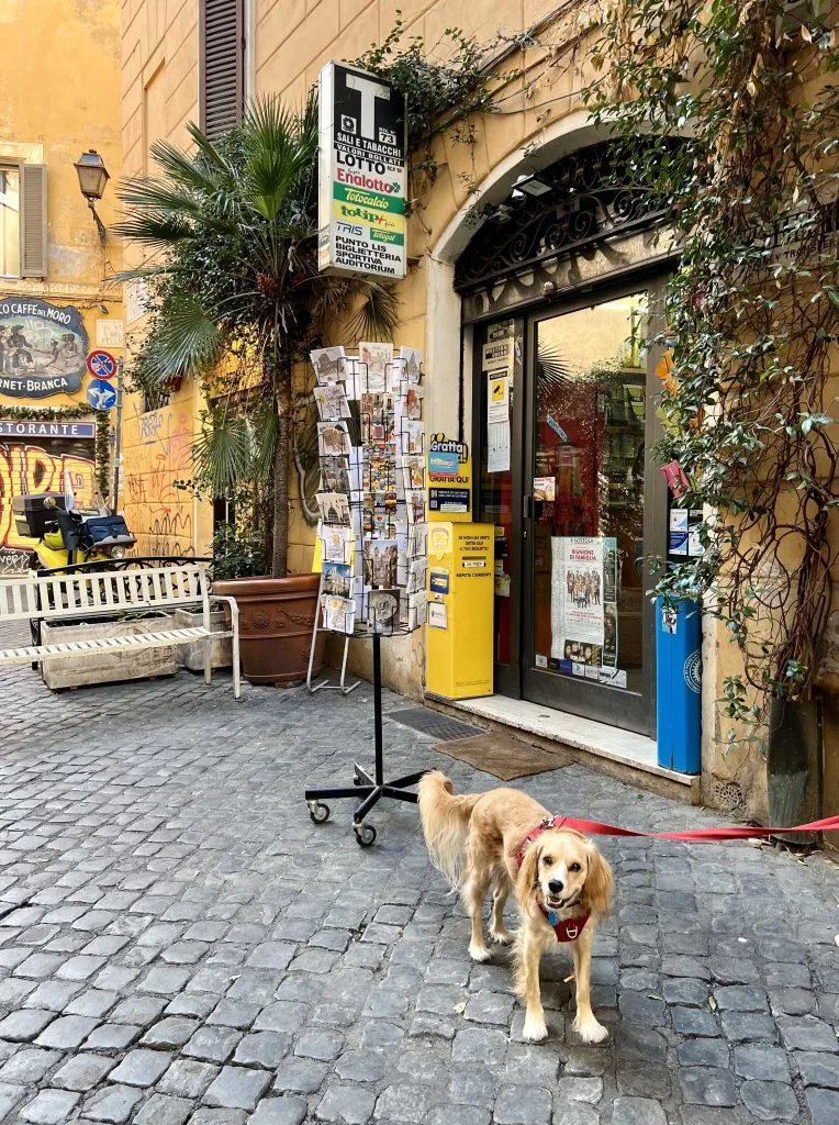 ranger storm in front of a tabacci shop in trastevere italy