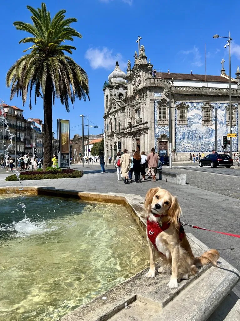 ranger storm in front of igreja do carmo sitting on the edge of fountain one day in porto portugal