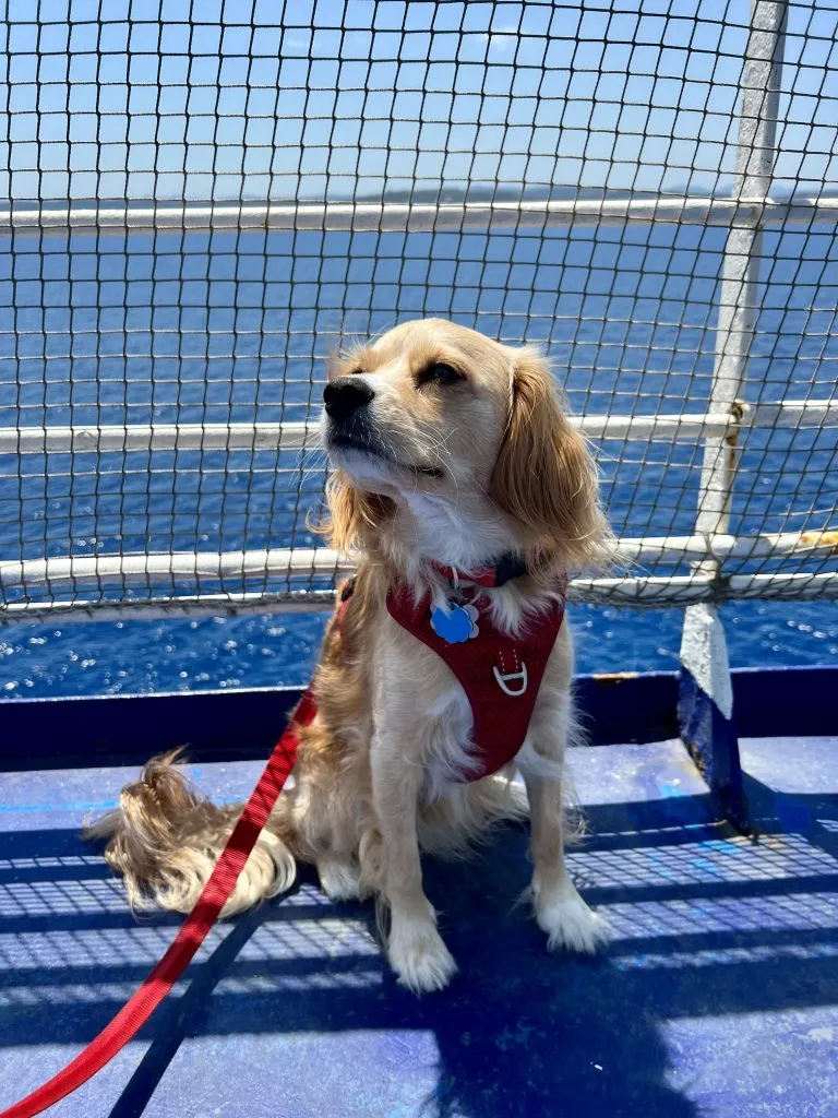 ranger onboard grimaldi lines deck, boat from barcelona to rome