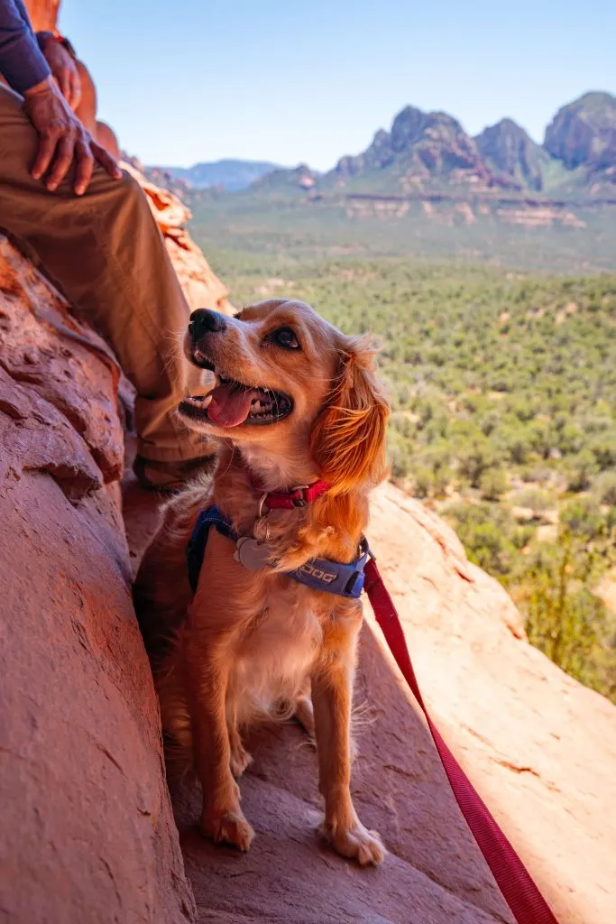 ranger storm hiking in sedona arizona during a southwest road trip itinerary