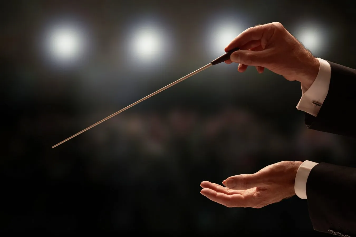 conductor performing with an orchestra