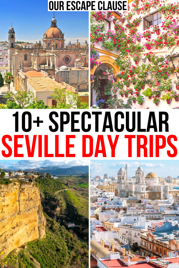 4 photos of places near seville, jerez de la frontera, cordoba, ronda, cadiz. black and red text reads "10+ spectacular seville day trips"
