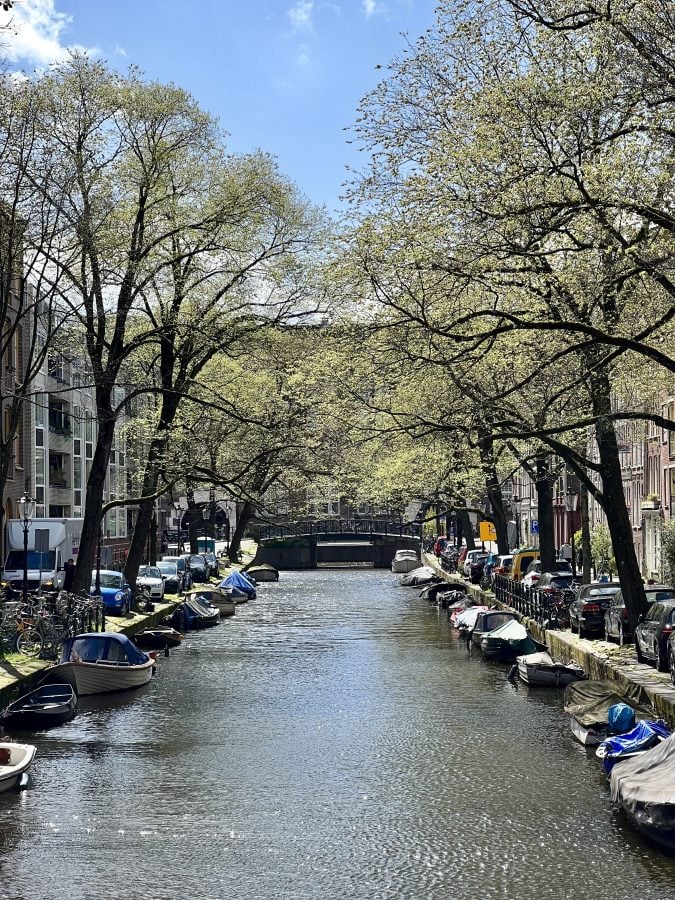 canal in amsterdam the netherlands with trees growing on either side