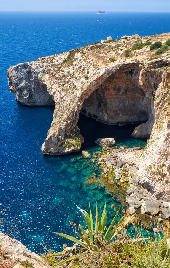 sunny view of the malta blue grotto from above with spiky green plant in foreground