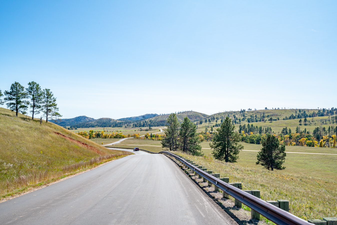 empty road in custer state park south dakota