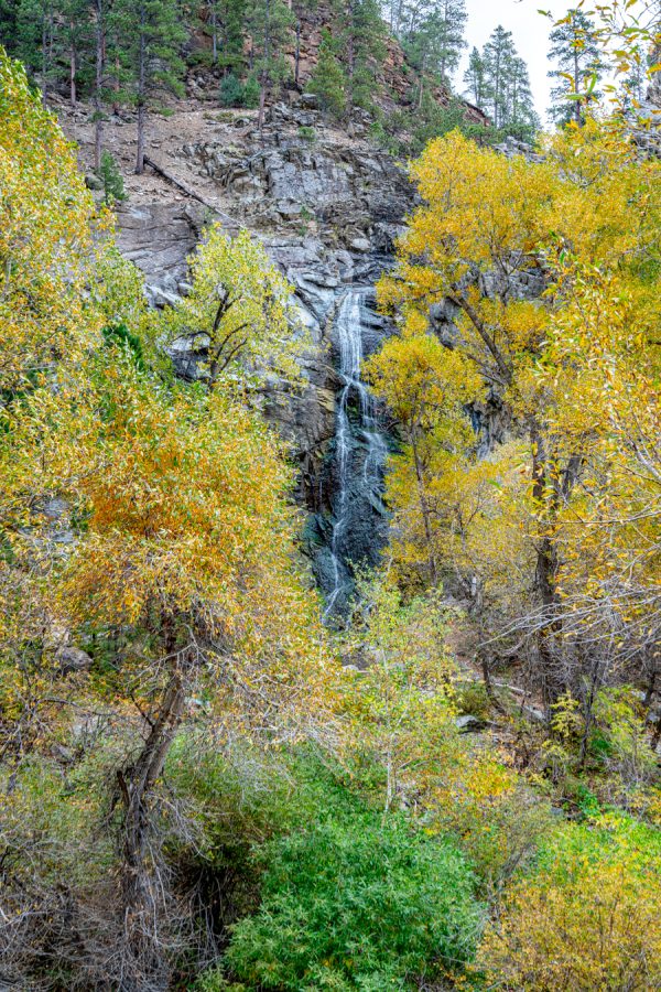fall foliage in spearfish canyon in south dakota