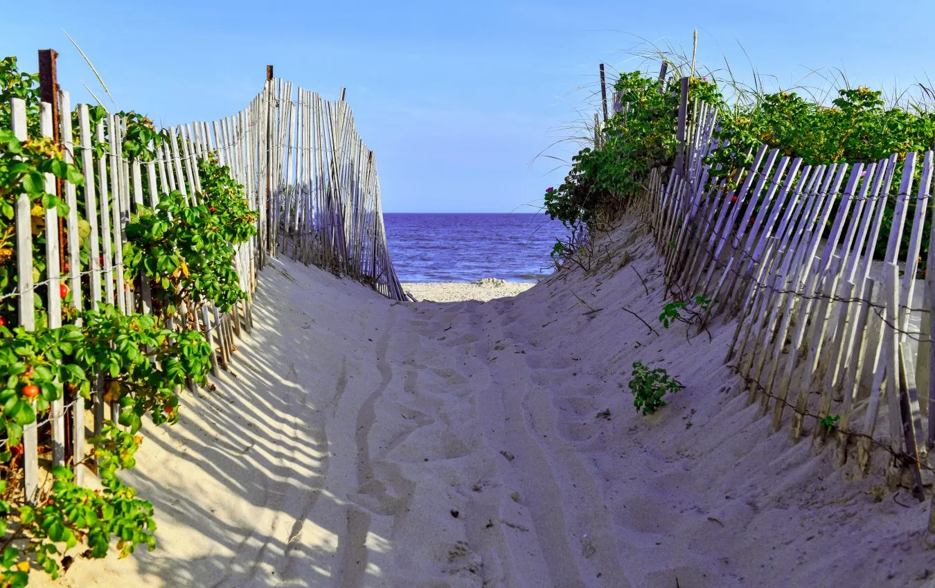 path of sand dunes approaching the beach in montauk new york