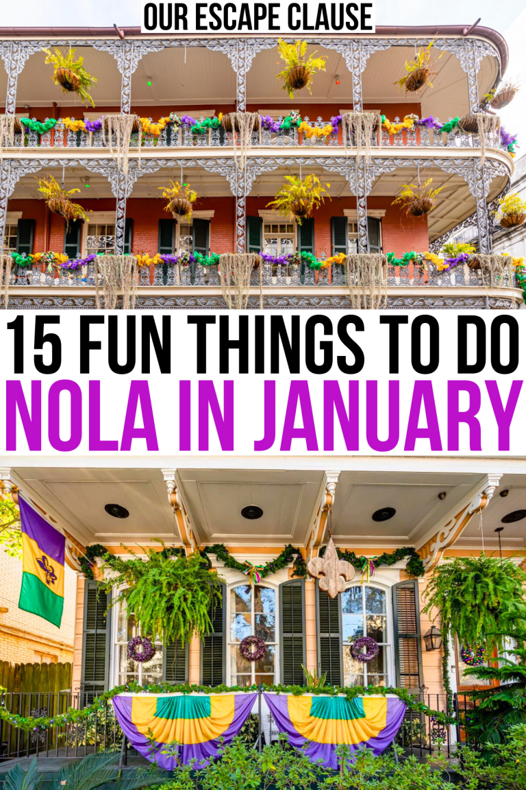 Visiting New Orleans in January is Magical (What to Do+ Travel Tips ...