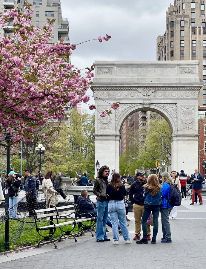 washington square arch with cherry blossoms to the left and a group of students talking in the foreground