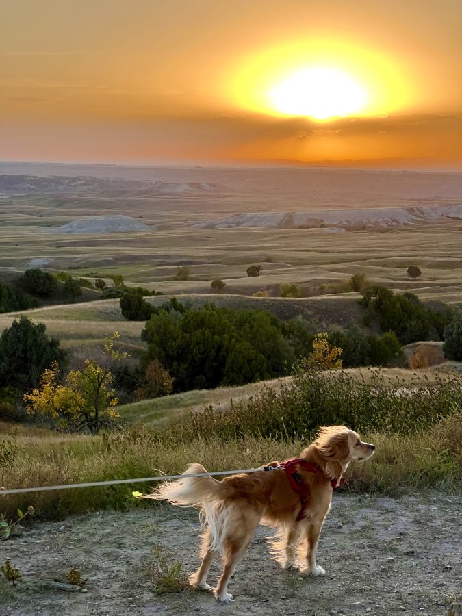 ranger storm overlooking the sage creek wilderness at sunset while visiting badlands national park as part of a south dakota road trip itinerary