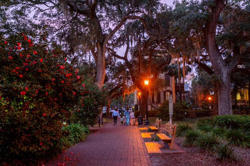 square in savannah at night with lamps lit and people walking in the distance